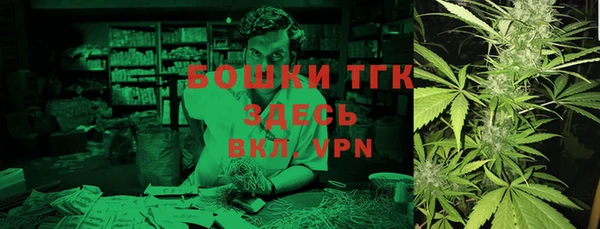 дмт Саки