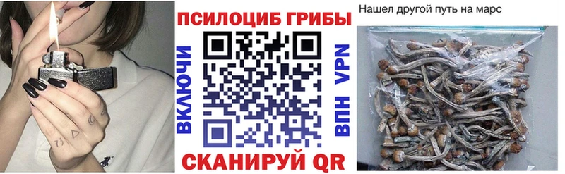 Псилоцибиновые грибы Psilocybe  купить наркоту  Фурманов 