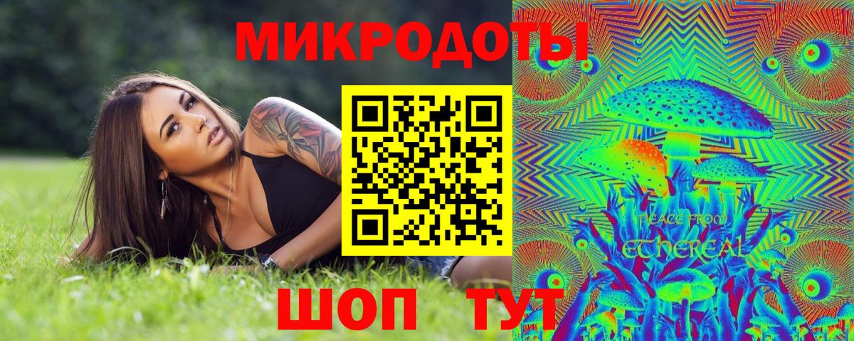 Галлюциногенные грибы Psilocybine cubensis Фурманов
