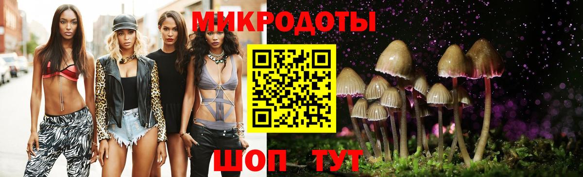 дарнет шоп  Фурманов  Галлюциногенные грибы Psilocybe  Псилоцибиновые грибы MAGIC MUSHROOMS 