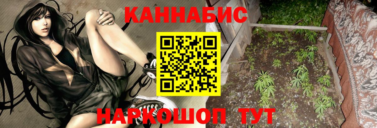 Бошки Шишки White Widow  Вход с VPN  Фурманов  Бошки марихуана SATIVA & INDICA  Каннабис MAZAR 